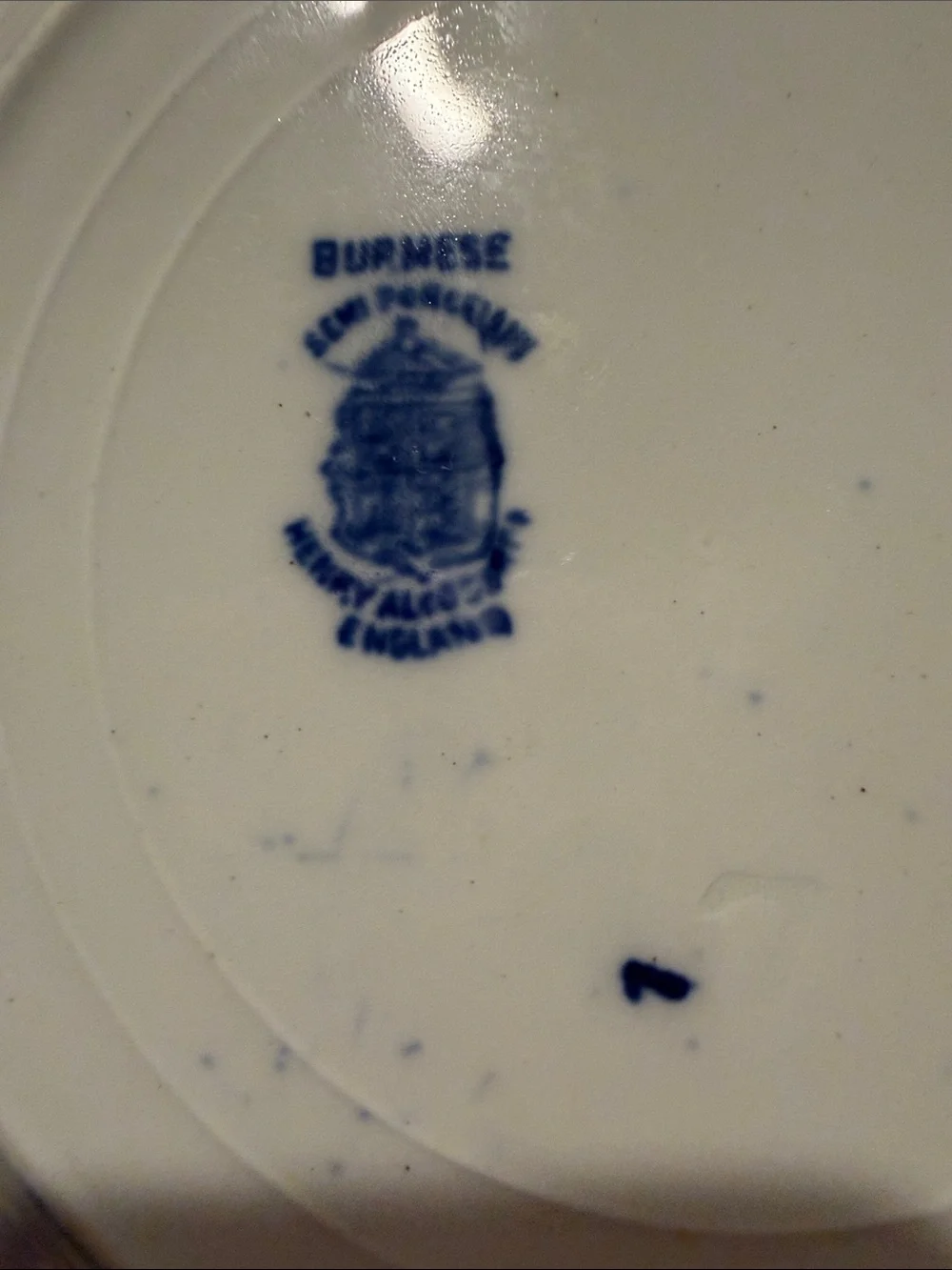 Burmese Semi Porcelain classic scalloped